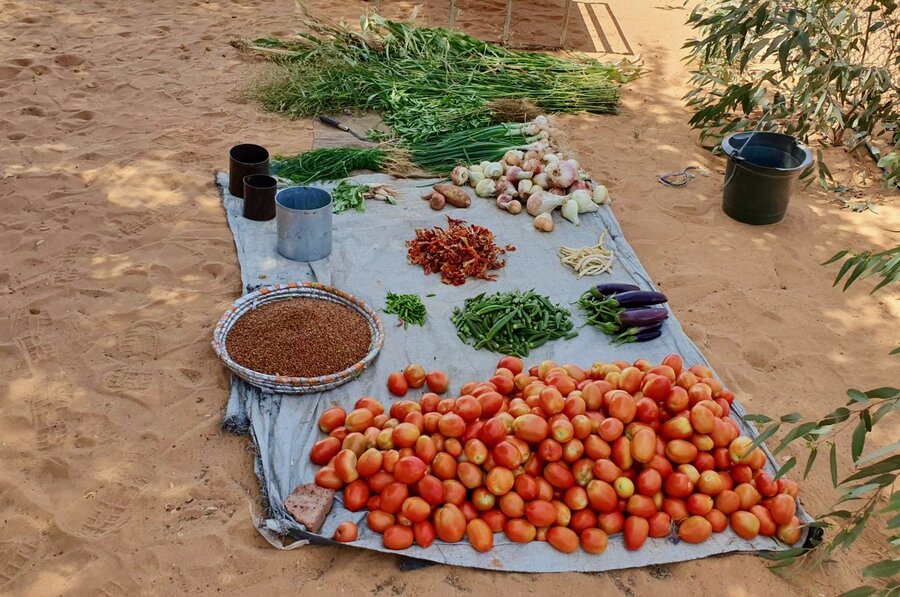 Fresh vegetables from a school garden in Sudan's Darfur region — grown with WFP supported solar water-pumping system. When children are on vacation, teachers sell the produce to buy school books. Photo: WFP/Sudan